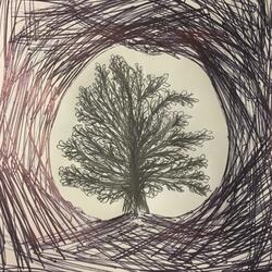 Apple Tree