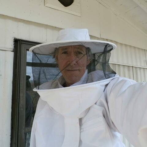 I Bee Jammin'