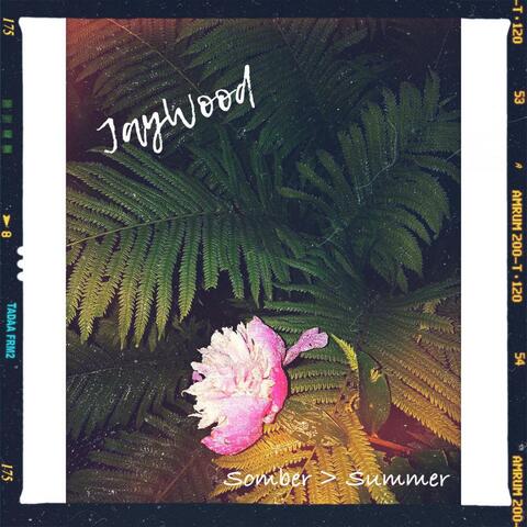 Somber > Summer