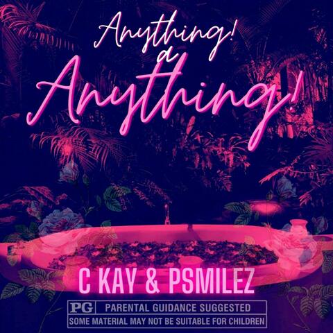 Anything a Anything