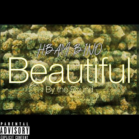 Beautiful by the Pound