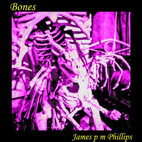 Bones