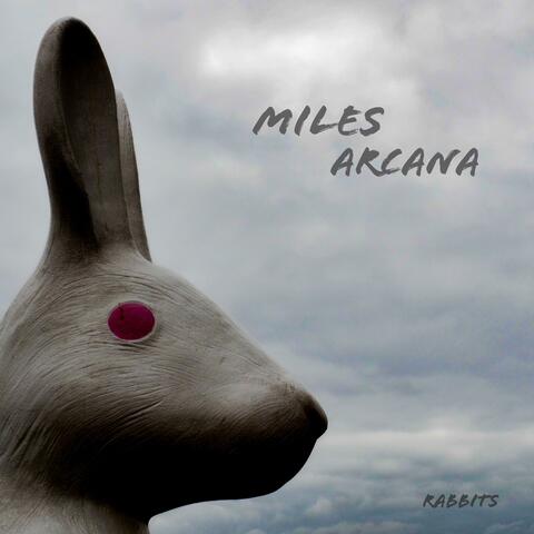 Rabbits