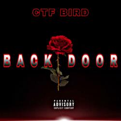 Back Door