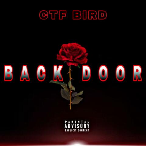 Back Door