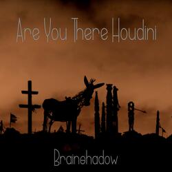 Are You There Houdini