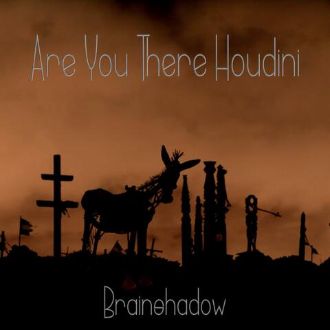 Are You There Houdini