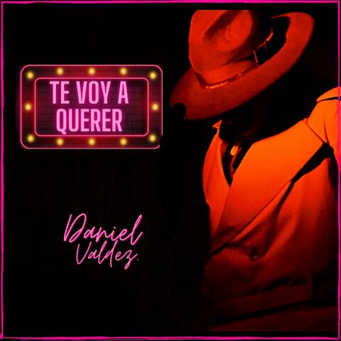 Te Voy a Querer