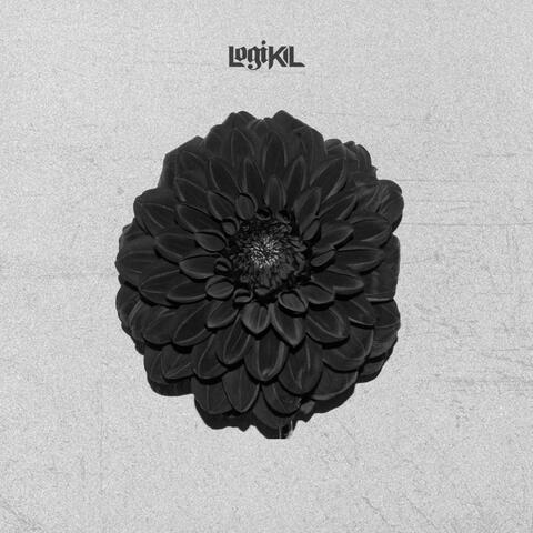 Dahlia