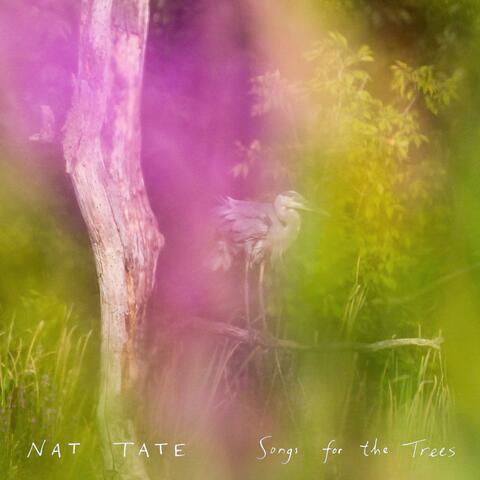 Songs for the Trees
