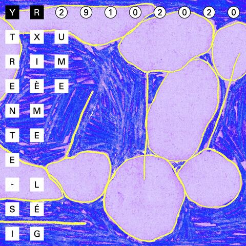 Trente-Sixième Légume