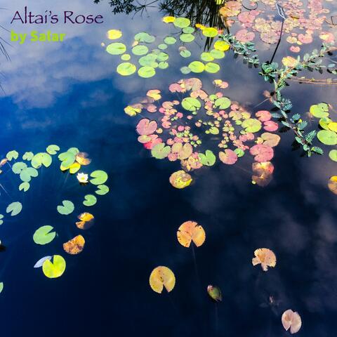 Altai's Rose