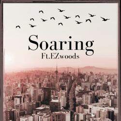 Soaring
