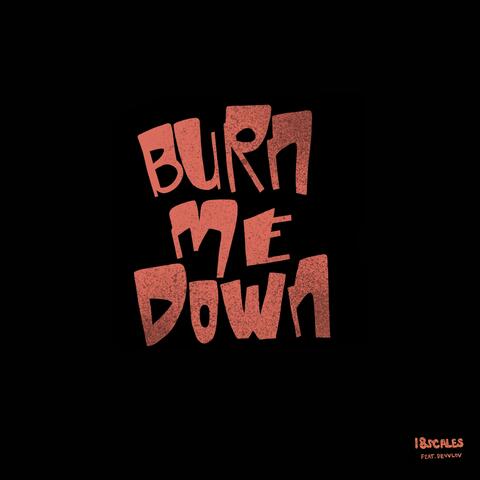 Burn Me Down (feat. Devvlov)