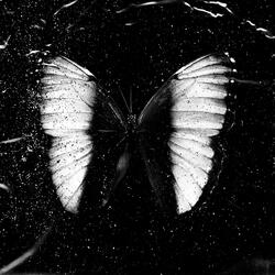 What's The Move? (feat. PFN Miggy)