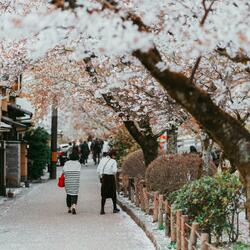 Take me to Kyoto