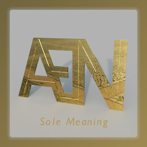 Sole Meaning