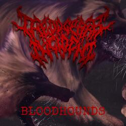 Bloodhounds (feat. Scott Orozco & Noah's Dog Riley)