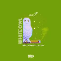 White Owl (feat. Tuck Ryan)