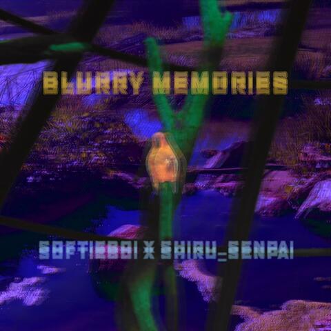 Blurry Memories