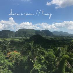 Where I Roam