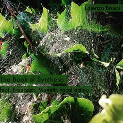 I cicli della Negazione