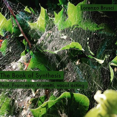 The Book of Synthesis Lorenzo Brusci Francesco Manetti