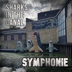 Sharks In The Canal