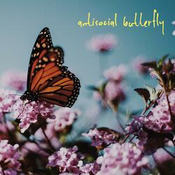 antisocial butterfly