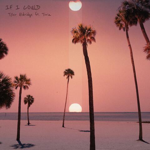 If I Could (feat. Toria)