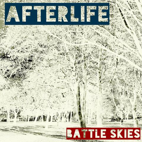 Afterlife