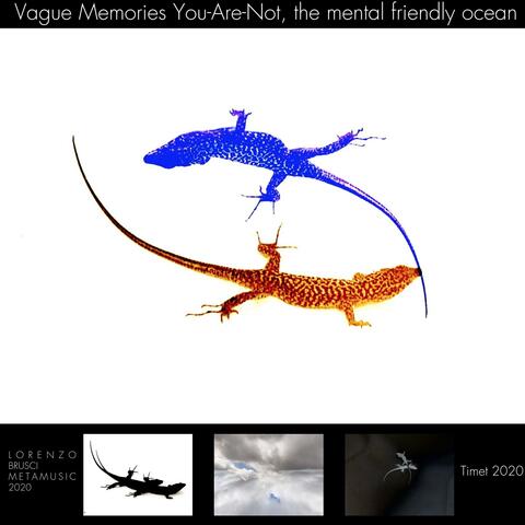 Vague memories you-are-not, the mental-friendly-ocean, metamusic research, Lorenzo Brusci
