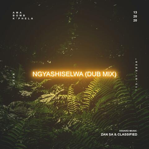 Ngyashiselwa (feat. Djy Zan SA)