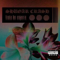 Lista de espera (mielina)