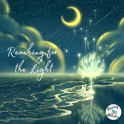 Reaching for the Light