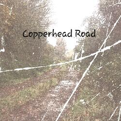 Copperhead Road