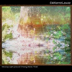 Dancing Light & Sound (Twenty Eleven Three)