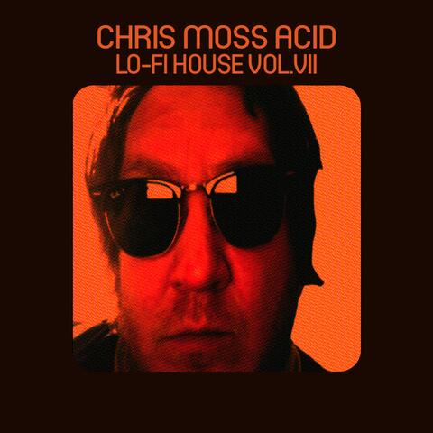 Lo-Fi House Vol.Vii
