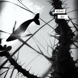 Depressive Droughts