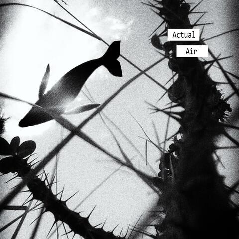 Kanna Dey X Digg Deep // Actual Air
