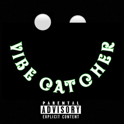 Vibe Catcher
