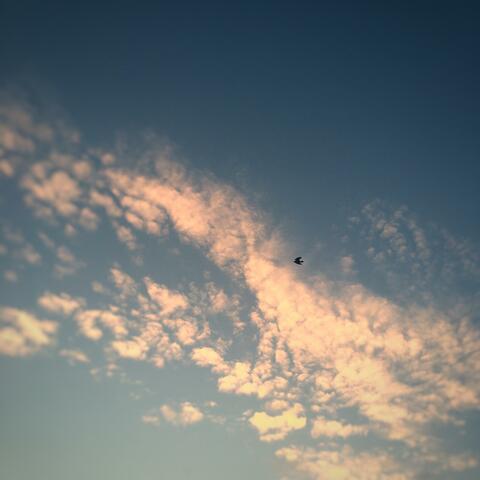 Letting Go
