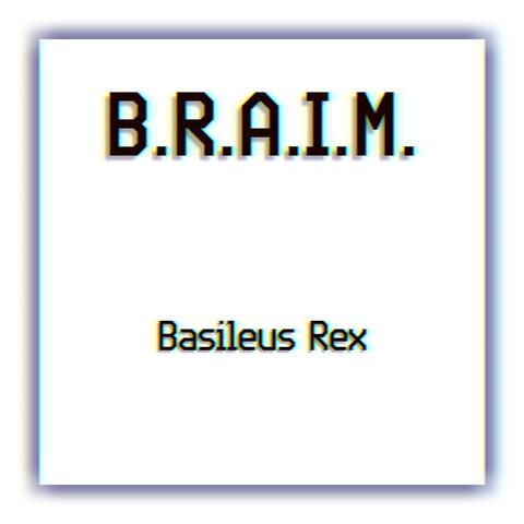 B.R.A.I.M
