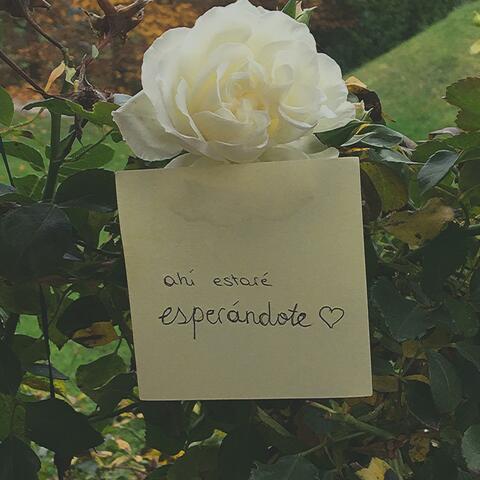 Esperándote (Ahí Estaré)