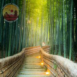 Evergreen Bamboo Forest (Yoga and Meditation Music with Nature Sounds)