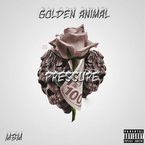 Pressure