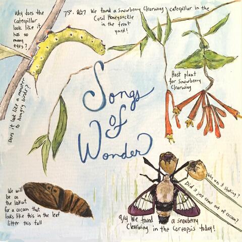 Songs of Wonder