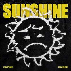 Sunshine (feat. Ionei Heckenberg)