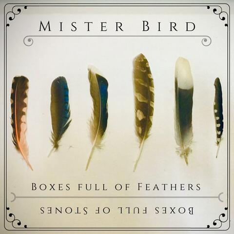 Boxes Full of Feathers. Boxes Full of Stones.