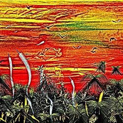 Butterflies always tell the truth